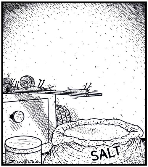 Pirate Snails forcing a Snail to walk the Plank into Salt.