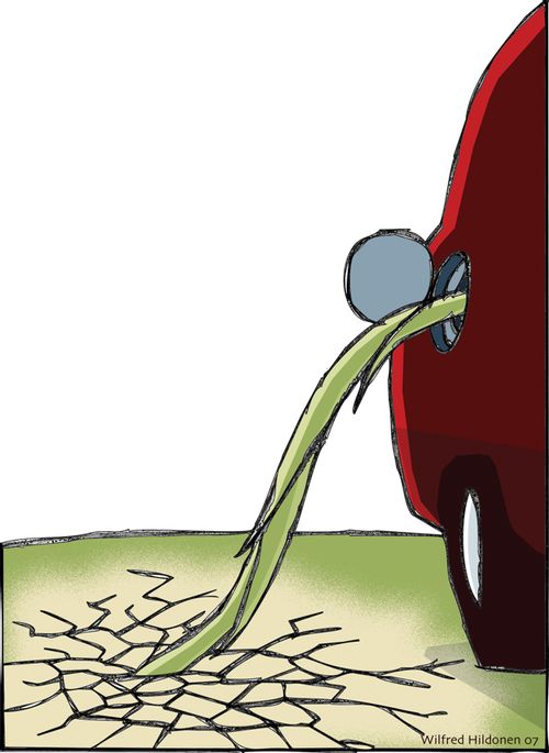 Biofuel - a solution or...?