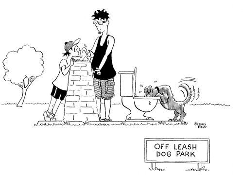 Off Leash Dog Park