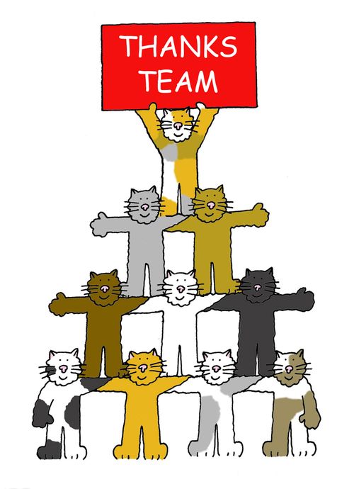 Thanks Team