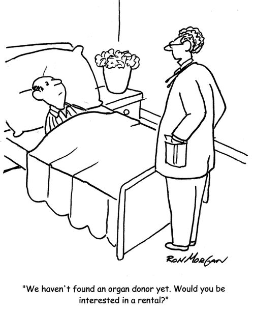 "We haven't found an organ donor yet. Would you be interested in a rental?"