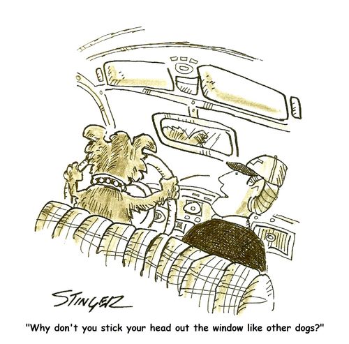 "Why don't you stick your head out the window like other dogs?"