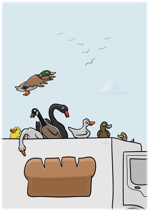 Ducks on Trucks