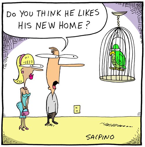 'Do you think he likes his new home?'