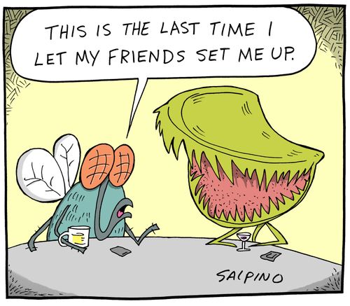 'This is the last time I let my friends set me up.'