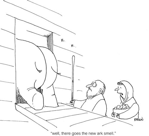 "Well, there goes the new ark smell."