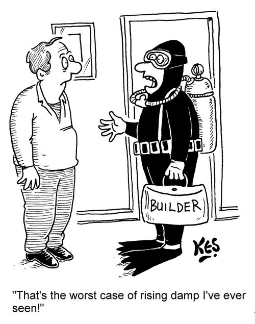 "That's the worst case of rising damp I've ever seen!"
