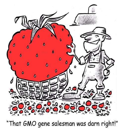 'That GMO gene salesman was darn right!'