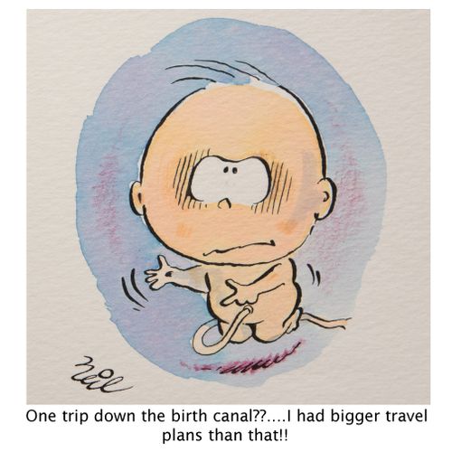 "One trip down the birth canal??..I had bigger travel plans than that!!"