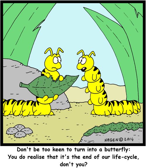 'Don't be too keen to turn into a butterfly: You do realise that it's the end of our life-cycle, don't you?'