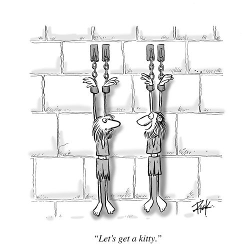 'Let's get a kitty.'