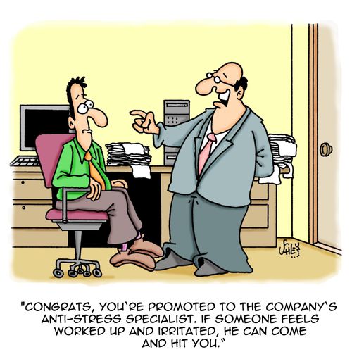 'Congrats, you're promoted to the company's anti-stress specialist. If someone feels worked up and irritated. He can come and hit you.'