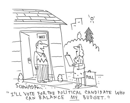 'I'll vote for the political candidate who can balance my budget.'