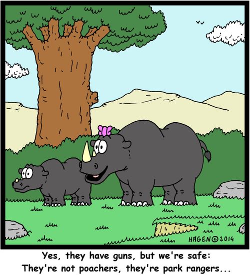 'Yes, they have guns, but we're safe: They're not poachers, they're park rangers...'