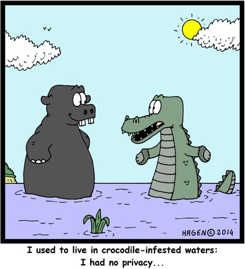 'I used to live in crocodile-infested waters: I had no privacy...'