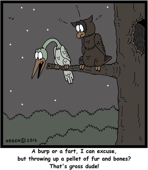 'A burp or a fart, I can excuse, but throwing up a pellet of fur and bones? That's gross dude!'