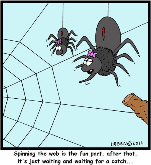 'Spinning the web is the fun part, after that, it's just waiting and waiting for a catch...'