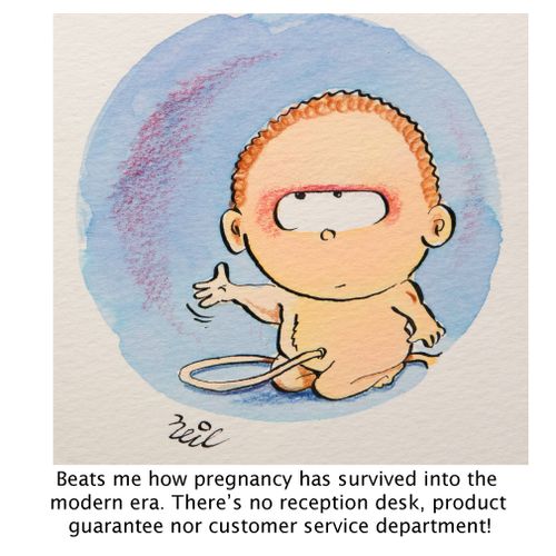 "Beats me how pregnancy has survived into the modern era. There's no reception desk, product guarantee nor customer service department!"