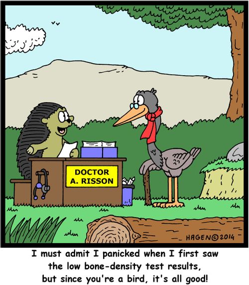 'I must admit I panicked when I first saw the low bone-density test results, but since you're a bird, it's all good!'
