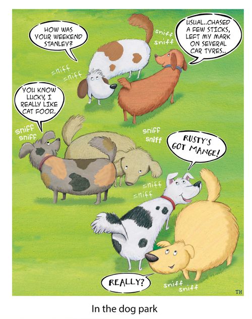 In the dog park