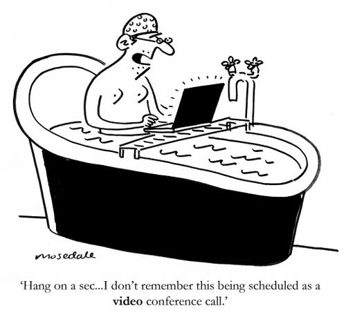 'Hang on a sec...I don't remember this being scheduled as a video conference call.'