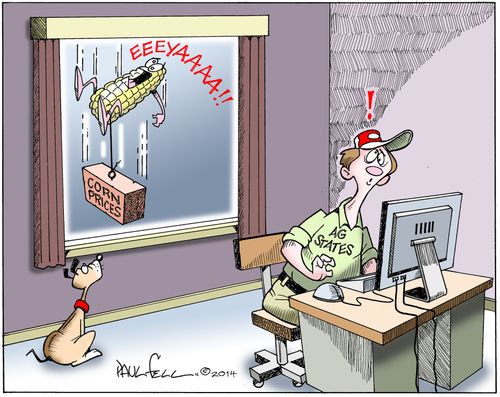 Falling Corn Prices