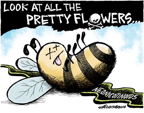 Look at all the pretty flowers....Neonicotinoids.