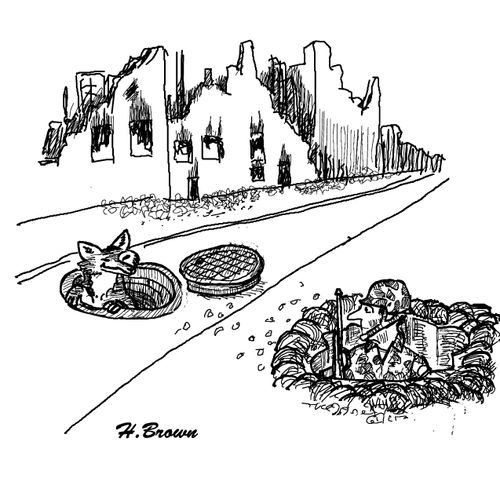 Fox Holes