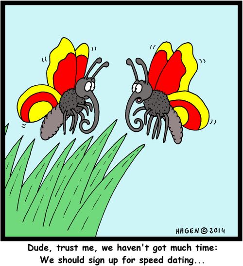 'Dude, trust me, we haven't got much time: We should sign up for speed dating...'