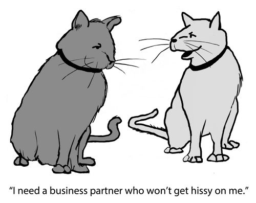 "I need a business partner who won't get hissy on me."