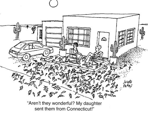 "Aren't they wonderful? My daughter sent them to me from Connecticut!"