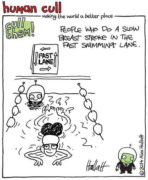 Human Cull: People who do a slow breast stroke in the fast swimming lane.