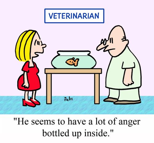 "He seems to have a lot of anger bottled up inside."