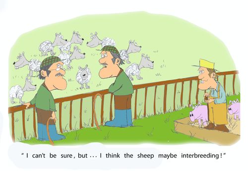 'I can't be sure, but. . . I think the sheep maybe interbreeding!'