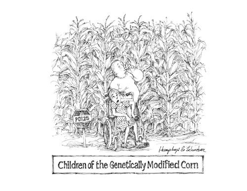 Children of the Genetically Modified Corn