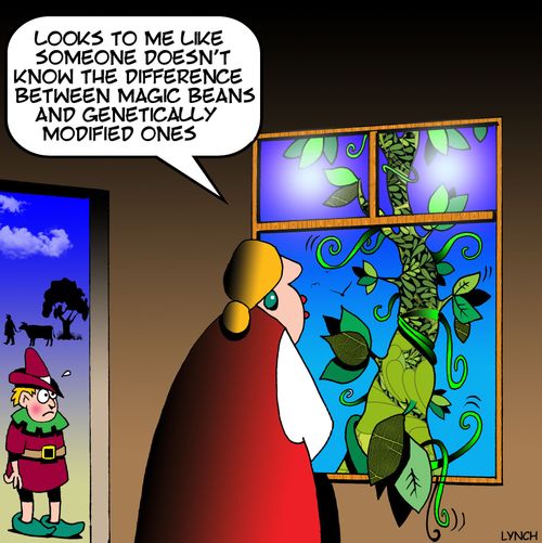 'Looks to me like someone doesn't know the difference between magic beans and genetically modified ones.'