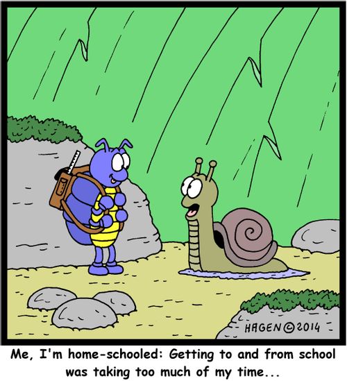 'Me, I'm home-schooled: Getting to and from school was taking too much of my time...'