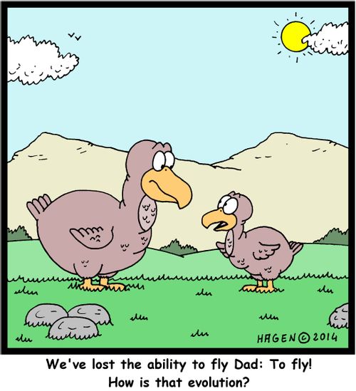 'We've lost the ability to fly Dad: To fly! How is that evolution?'
