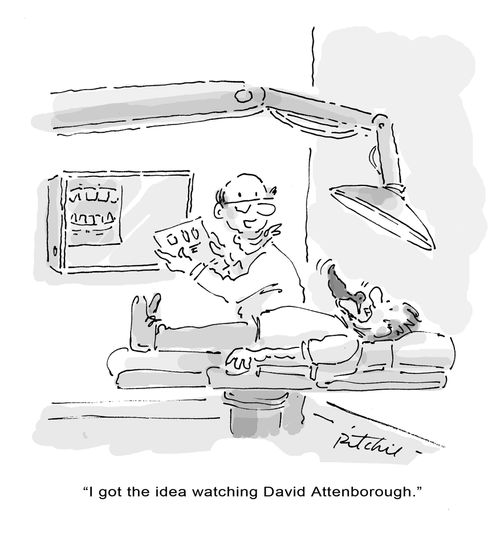 "I got the idea watching David Attenborough."