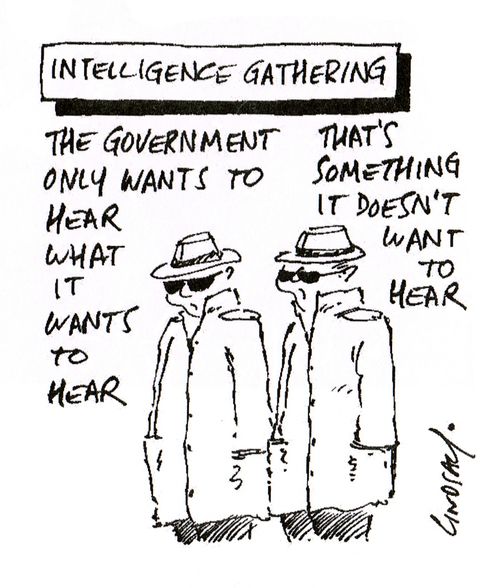 Intelligence Gathering: The government only wants to hear what it wants to hear.