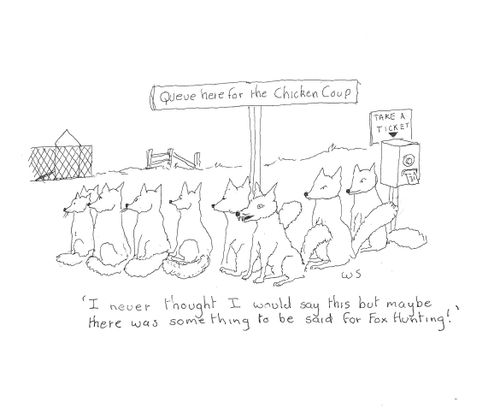 'I never thought I would say this but maybe there was something to be said for Fox Hunting!'