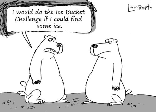 "I would do the Ice Bucket Challenge if I could find some ice."