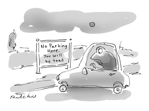No parking here. You will be toad.