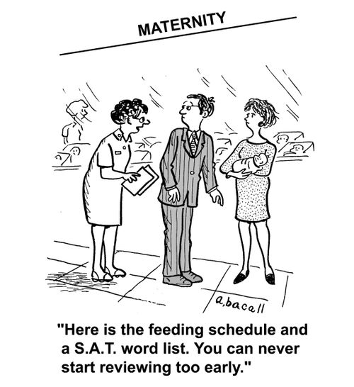 'Here is the feeding schedule and a S.A.T. word list. You can never start reviewing too early.'