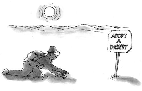 Adopt a Desert