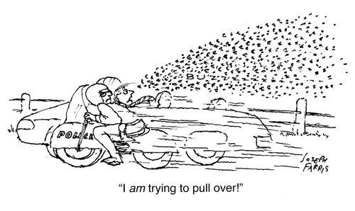 "I am trying to pull over!"