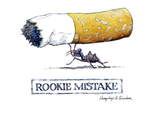Rookie Mistake