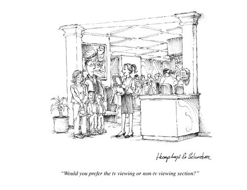 "Would you prefer the TV viewing or non-TV viewing section?"
