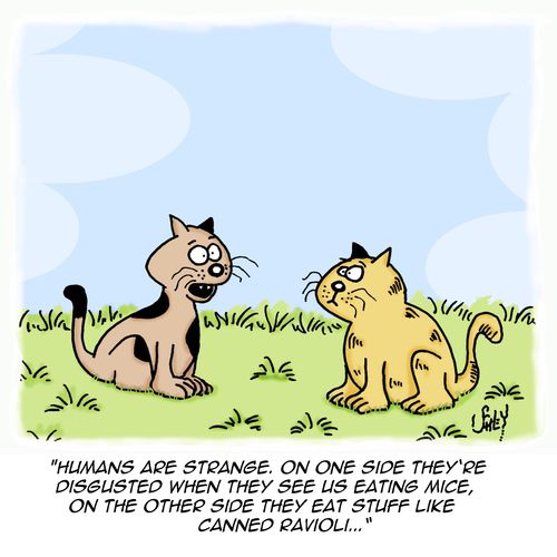 'Humans are strange. On one side they're disguisted when they see us eating mice, on the other side they eat stuff like canned ravioli. . .'