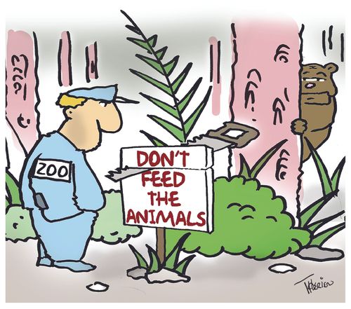 Don't feed the animals.
